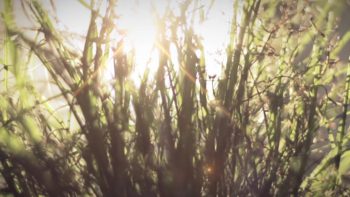 vorschau_impressions2012-