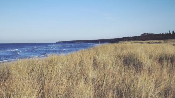 vorschau_ostsee–