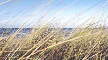 vorschau_ostsee-impressions